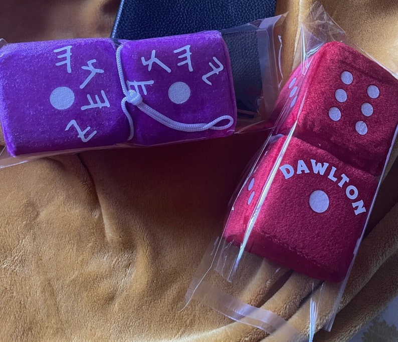 CUSTOM Personalized Car Dice Hanging Ornament, Customized Gift, Personalized Gift, Fluffy Dice