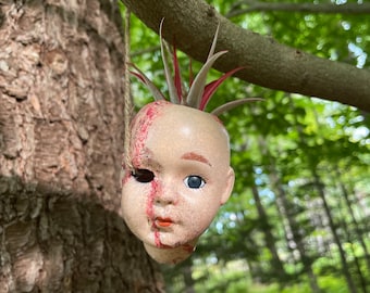 OOAK Creepy Doll Head Planter- Issac- With Live Air Plant!