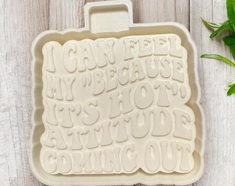Funny "I Can Feel My Face" Freshie Mold: Car Air Freshener Silicone Mold