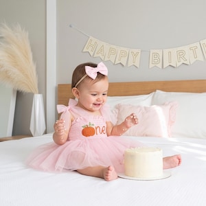 Robe citrouille pour le premier anniversaire, tenue pour le 1er anniversaire, barboteuse brodée « One », robe tutu personnalisée pour bébé fille, tenue pour une séance photo d'automne avec gâteau d'anniversaire image 2