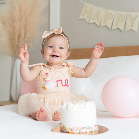 One Silly Goose First Birthday Dress, 1st Birthday Outfit Girl, Personalized Baby Name Romper, Berry First Birthday Outfit, Silly Goose Baby