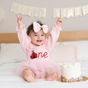May include: A baby wearing a pink outfit with a ladybug design and the word "one" embroidered on the front. The outfit includes a tutu skirt and a matching bow. A small cake with sprinkles sits nearby, and a banner that says "Happy Birthday" is in the background.