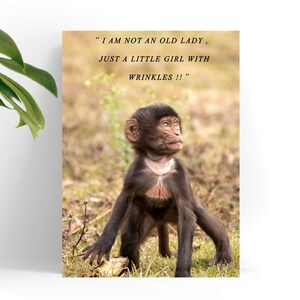 Biglietto di auguri comico per l'età della scimmia / Regalo con rughe divertenti / Biglietto di auguri con fotografia di scimmia unica