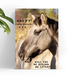 Biglietto d'auguri unico con fotografia di cavalli per gli amanti dei cavalli - Divertente regalo equestre - Interno vuoto - Stampa professionale - 7 x 5 pollici - Bianco