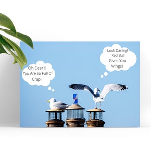 Carte de voeux humoristique Mouette drôle et Red Bull - Design original - 7 x 5 pouces - Livraison gratuite - Vierge à l'intérieur - Idée cadeau unique