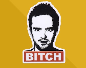 Breaking Bad Sticker: Jesse Pinkman -  Bitch Sticker - Breaking Bad Gifts - Vinyl Sticker - Aaron Paul - I Want You To Cook - Call Saul