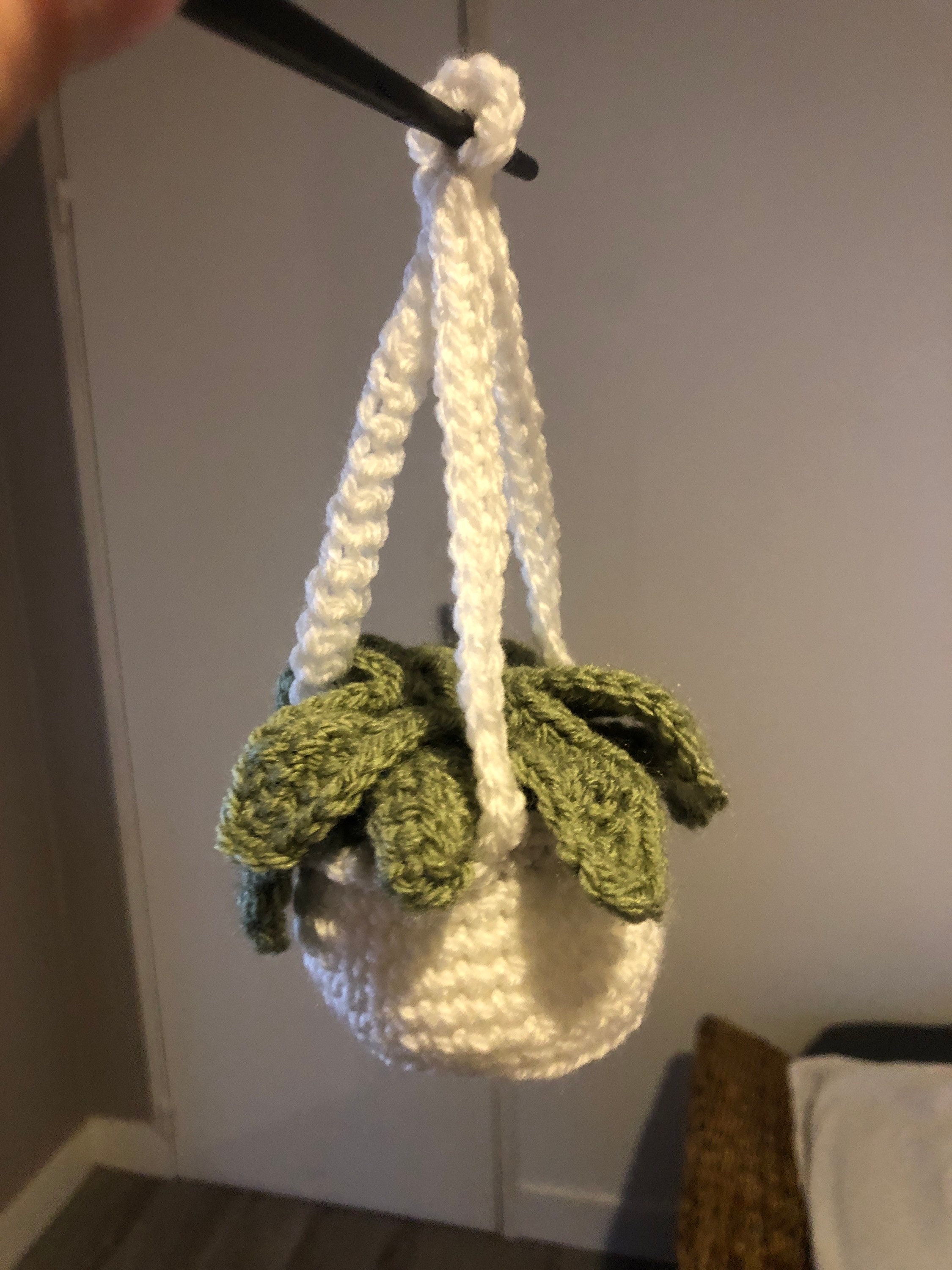 Plantes Suspendu en Crochet