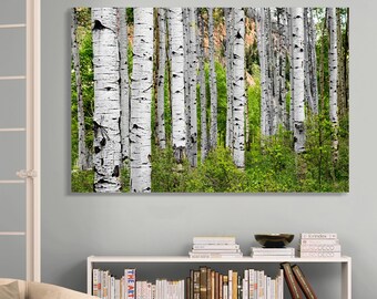 Colorado Aspen Tree Canvas Art: Summer Landscape Painting