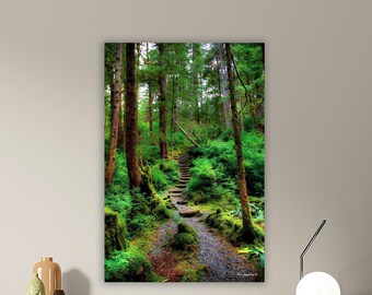 May include: A mossy forest path with a set of stone steps leading up a hill. The path is surrounded by tall trees and lush greenery.
