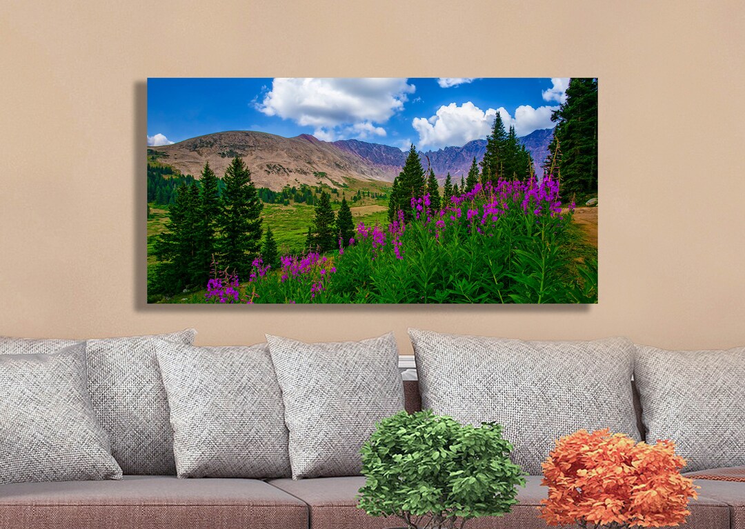 Rocky Mountain Wildflower Landscape Art: Colorado Fine Art Print - Etsy
