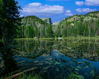 May include: A serene mountain lake with a reflection of the surrounding trees and mountains in the still water. The lake is covered in lily pads and the water is a deep blue color.