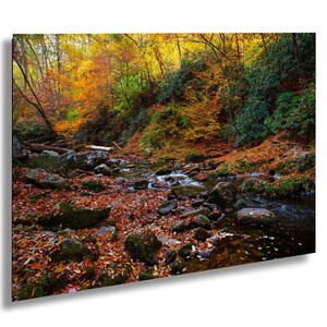 Smoky Mountain Stream Photography Print: Autumn Colors Canvas Art