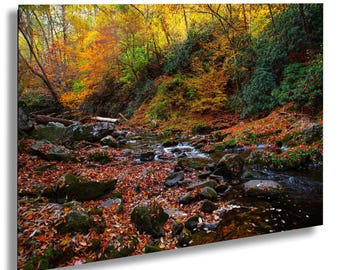 Smoky Mountain Stream Photography Print: Autumn Colors Canvas Art