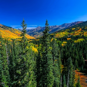 Colorado Fall Mountain Canvas Print: San Juan Rocky Mountains Wall Art