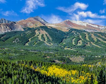 Breckenridge Colorado Autumn Aspen Trees Print: Ski Mountain Landscape
