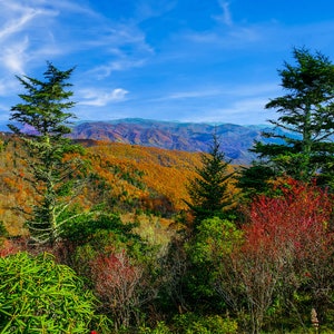 Könnte beinhalten: Eine malerische Aussicht auf eine Bergkette mit Herbstlaub in Rot-, Orange- und Gelbtönen. Die Berge sind mit Bäumen bedeckt und der Himmel ist blau mit weißen Wolken.