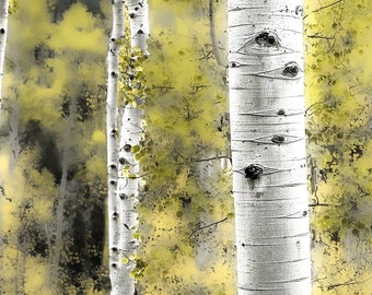 Aspen Tree Wall Art: Abstract Colorado Mountain Print