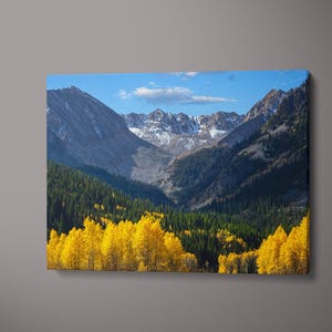 Colorado Fall Aspen Trees Photography: Mountain Wall Art
