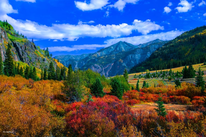 Autumn Colors Galore in Beautiful Colorado, Near Ouray Colorado, Autumn