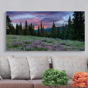 Mountain sunset with purple wildflowers, Colorado landscape photography print, Wildflower wall art, Rocky Mountain canvas