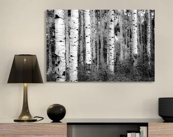 Black and White Aspen Tree Print: Colorado Nature Wall Art