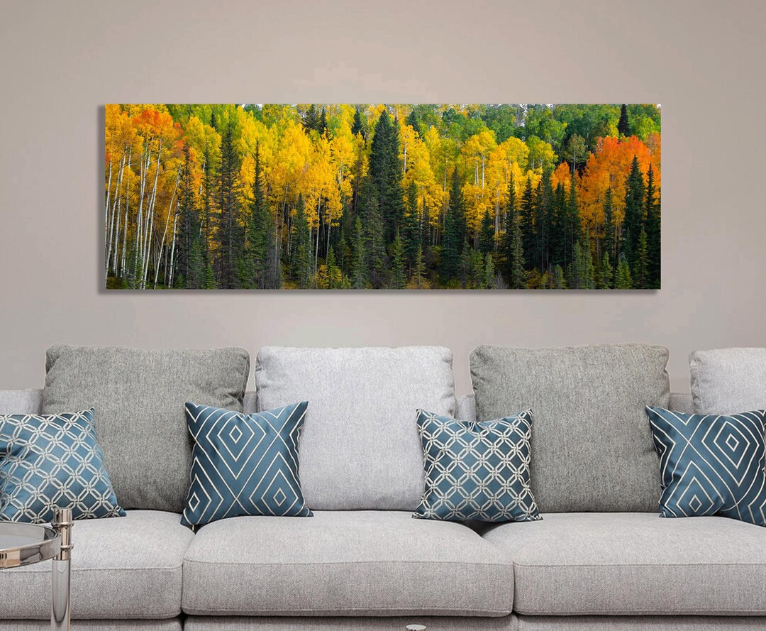 Aspen Tree Canvas Print: Colorado Forest Panoramic Wall Art - Etsy