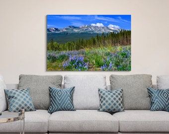 Leadville Colorado summer landscape, Mt. Massive, lupines in the mountains, Colorado 14er, wildflowers in Leadville,