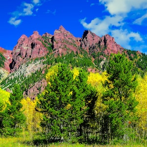 Aspen Colorado Wall Art: Rocky Mountain Autumn Triptych