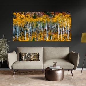 Colorado Aspen Trees Autumn Colors Wall Art: McClure Pass