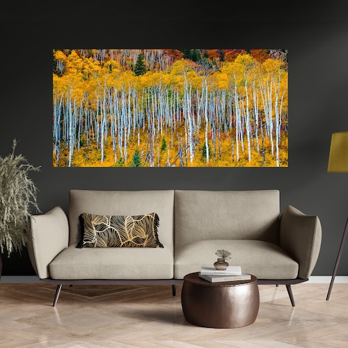 Aspen Trees in Autumn Colors Colorado Wall Art Fall Colors Etsy