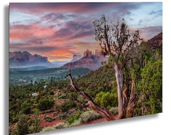 Cathedral Rock Sedona Sunrise Canvas Art: Southwest Desert Landscape