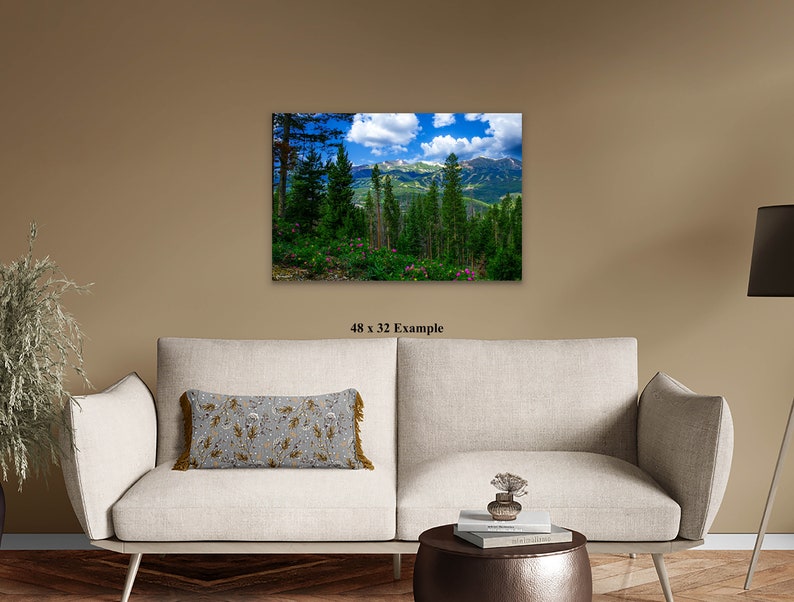 Breckenridge Colorado Summertime Picture, Breckenridge Art, Wildflowers