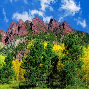 Colorado Mountain Print: Autumn Aspens, Rocky Mountain Art