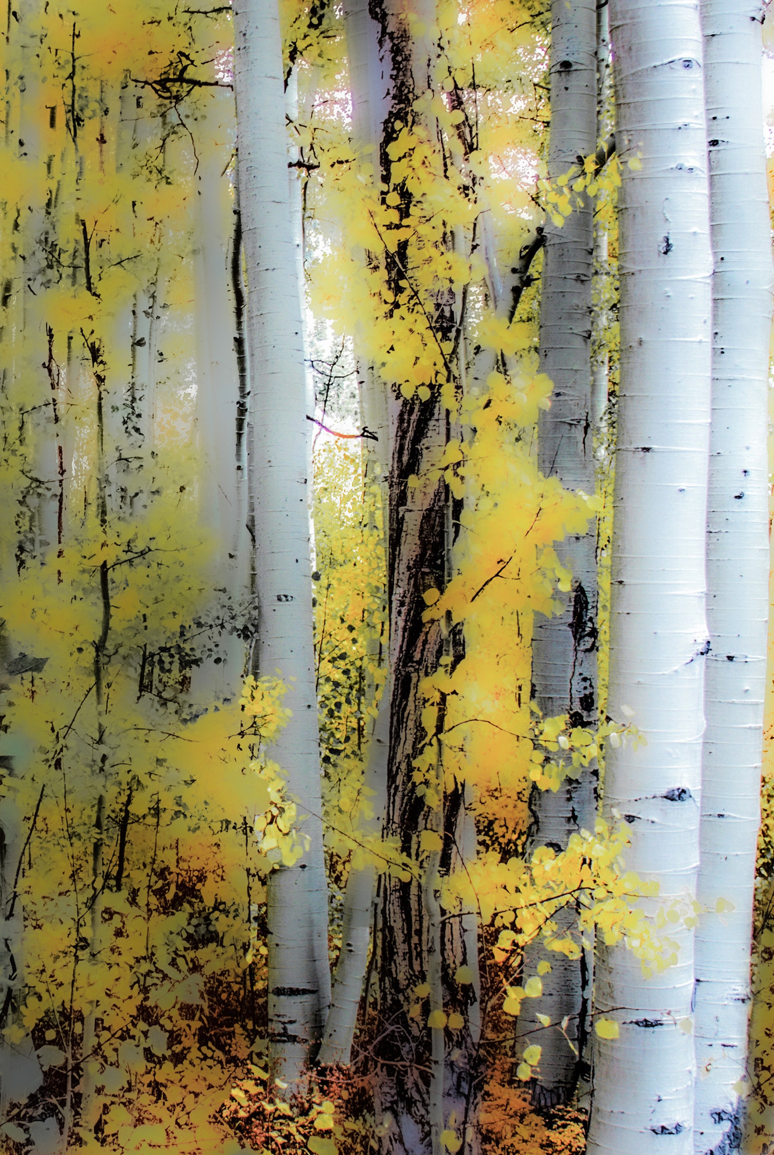 Aspen Tree Wall Art, Aspen Tree Painting, Abstract Landscape, Aspen