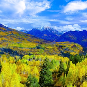 Colorado mountain art, Rocky Mountain autumn landscape, golden aspens in fall, McClure Pass, Aspen Colorado, Colorado wall art