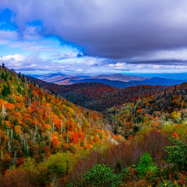 Smoky Mountain autumn, Blue Ridge mountains, fall colors, Asheville art, home decor, wall decor,