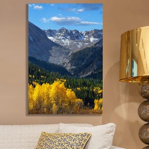 Colorado Autumn Aspen Trees Canvas Art: Rocky Mountain Landscape