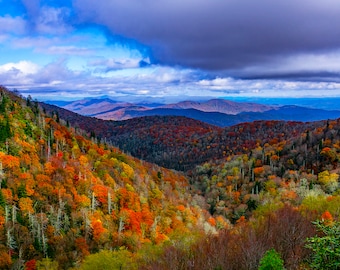 May include: A panoramic view of a mountain range with a thick layer of clouds in the sky. The mountains are covered in a variety of trees, many of which are changing color for autumn. The colors of the leaves range from green to yellow to orange to red.