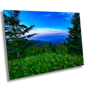 Smoky Mountain wall art, Mountains, mountain art, wildflower prints, Blue Ridge canvas, Asheville art, North Carolina wall art,