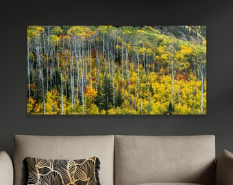 Colorado Autumn Aspen Tree Canvas Print: Fall Colors Photography