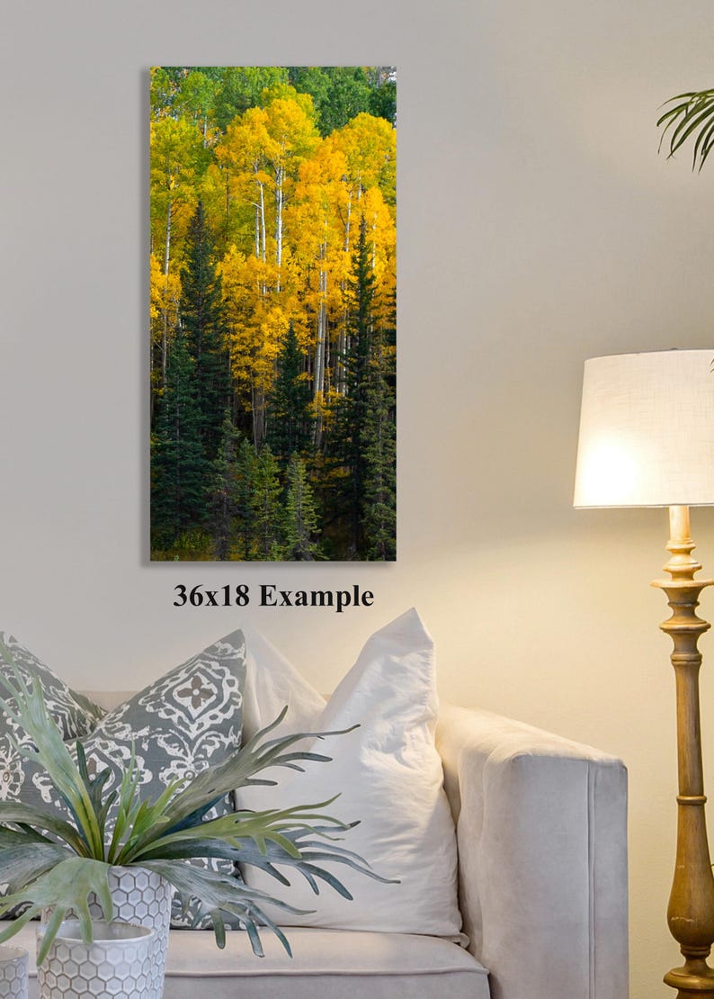 Golden Aspen tree art, vertical Aspen tree wall art, Birch tree canvas