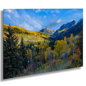 Colorado Aspen Trees Canvas Art: Rocky Mountain Fall Landscape
