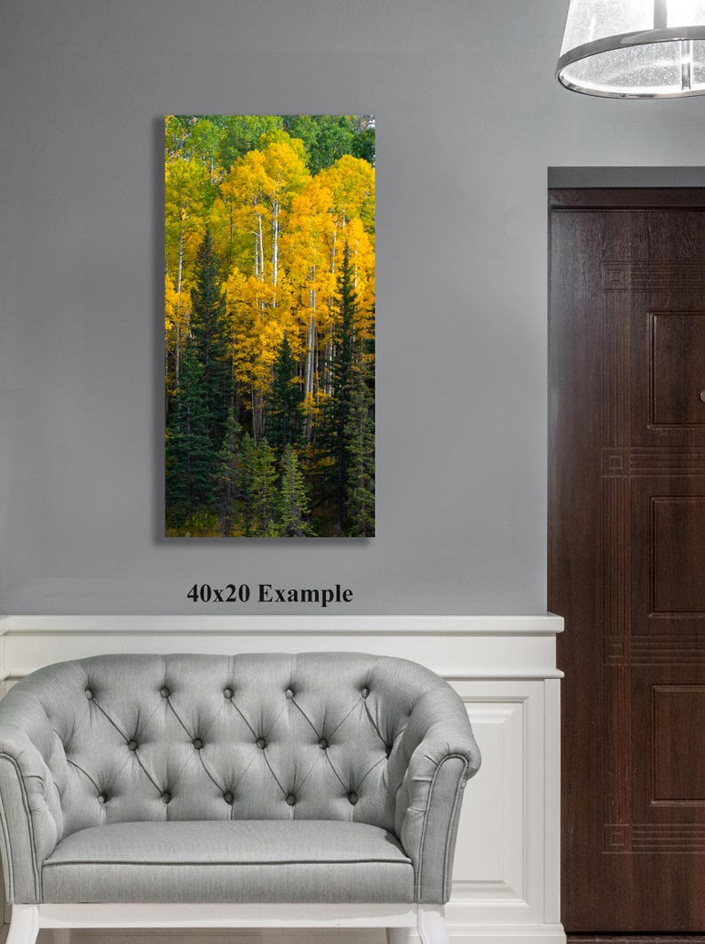 Golden Aspen tree art, vertical Aspen tree wall art, Birch tree canvas