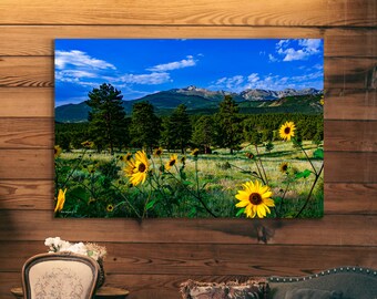 Rocky Mountain National Park, mountain wall art, Estes Park Colorado, sunflower wall art, sunflower print, Rocky mountains, cabin decor,
