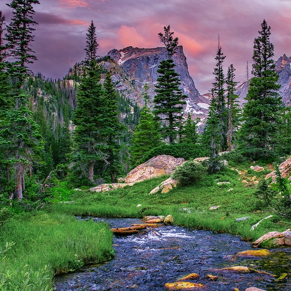 Rocky Mountain National Park wall art, summer in Estes Park, Colorado wall art, mountain stream, large framed art work