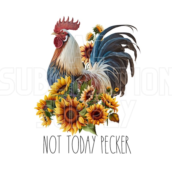 Ready to Press Sublimation Transfers | Up to 13" x19" | Not Today Pecker | Funny | Rooster | Farmhouse | Country | Chickens | Sunflowers