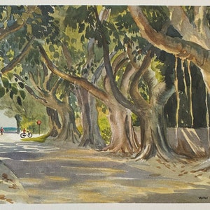 Banyan Street Boca Grande