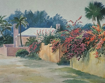 Library Walls Bougainvillea Boca Grande