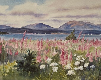 Fireweeds Mount Dessert Island View