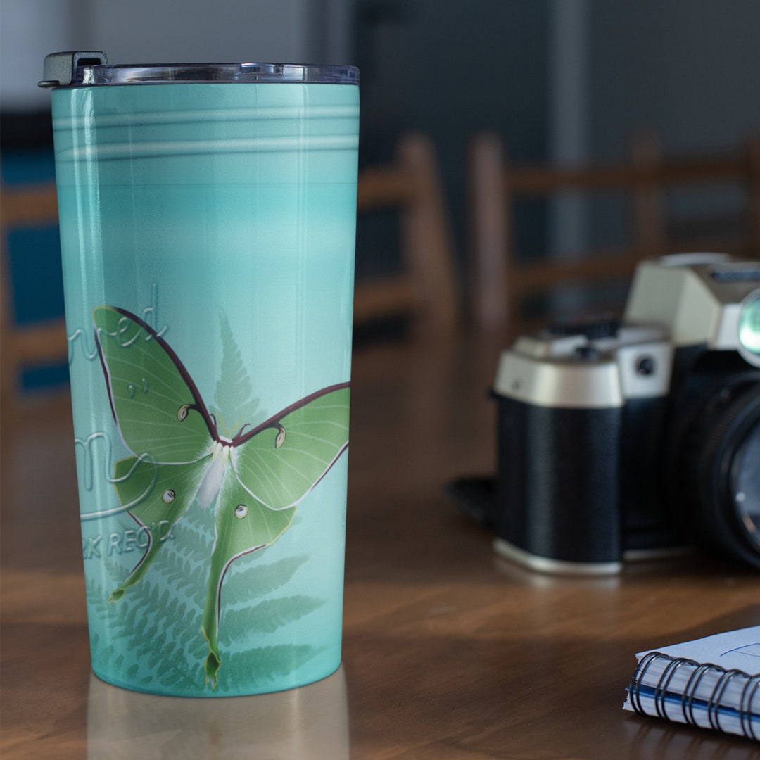 Bright Green Luna Moth in a Jar Cup for Moth and Etsy